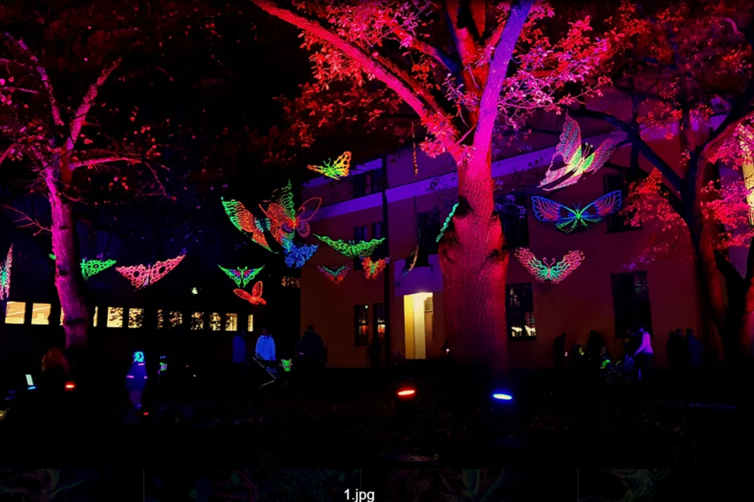 flowers-of-Life-Installation flowers-of-Life-Installation